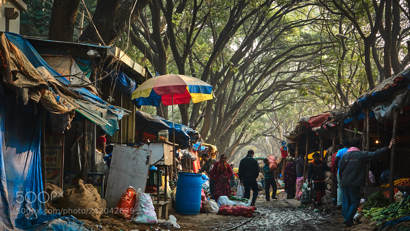 Sony a6500 sample photo. Morning market alleyways photography