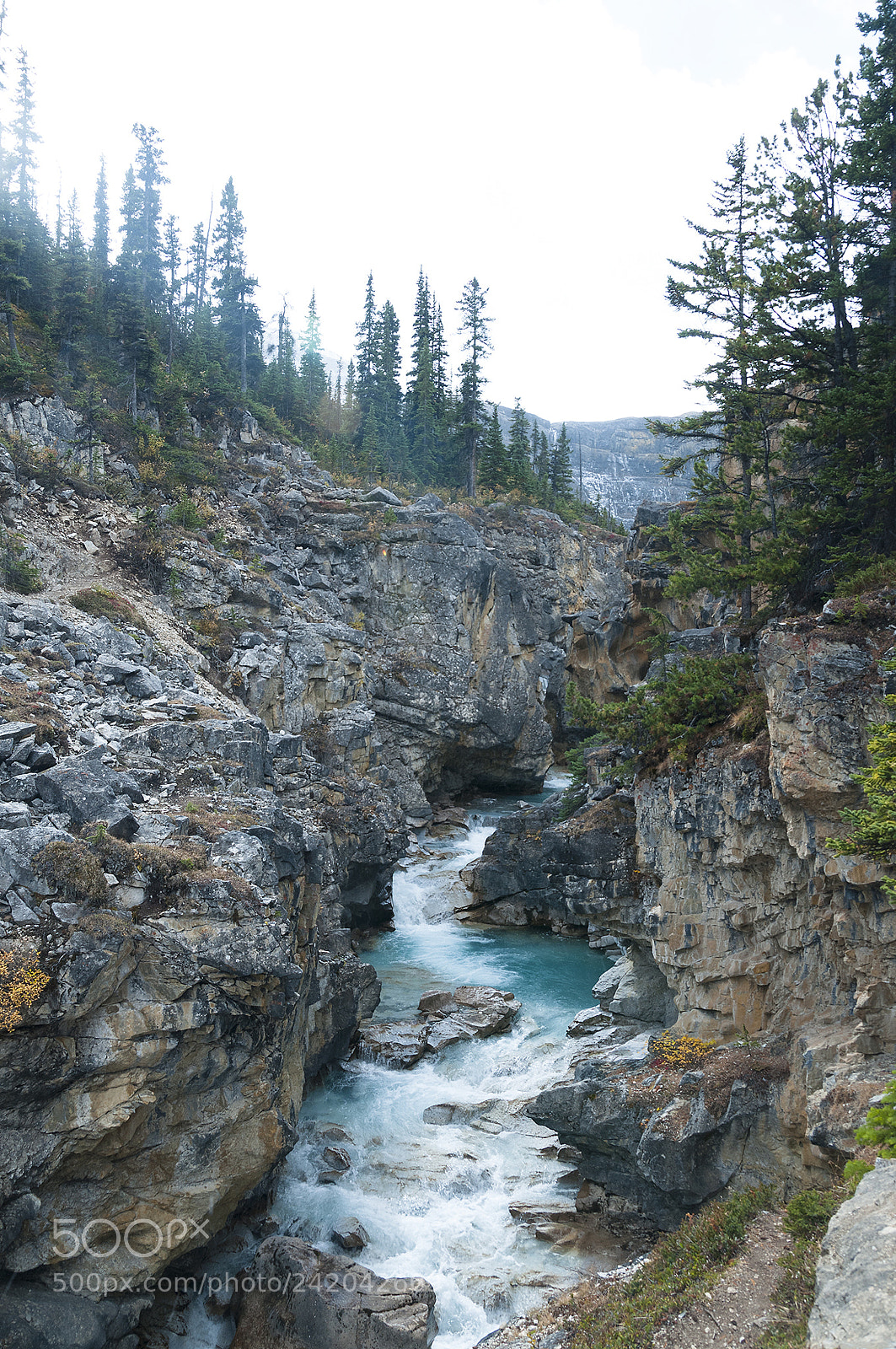 Nikon D300 sample photo. Bow canyon photography