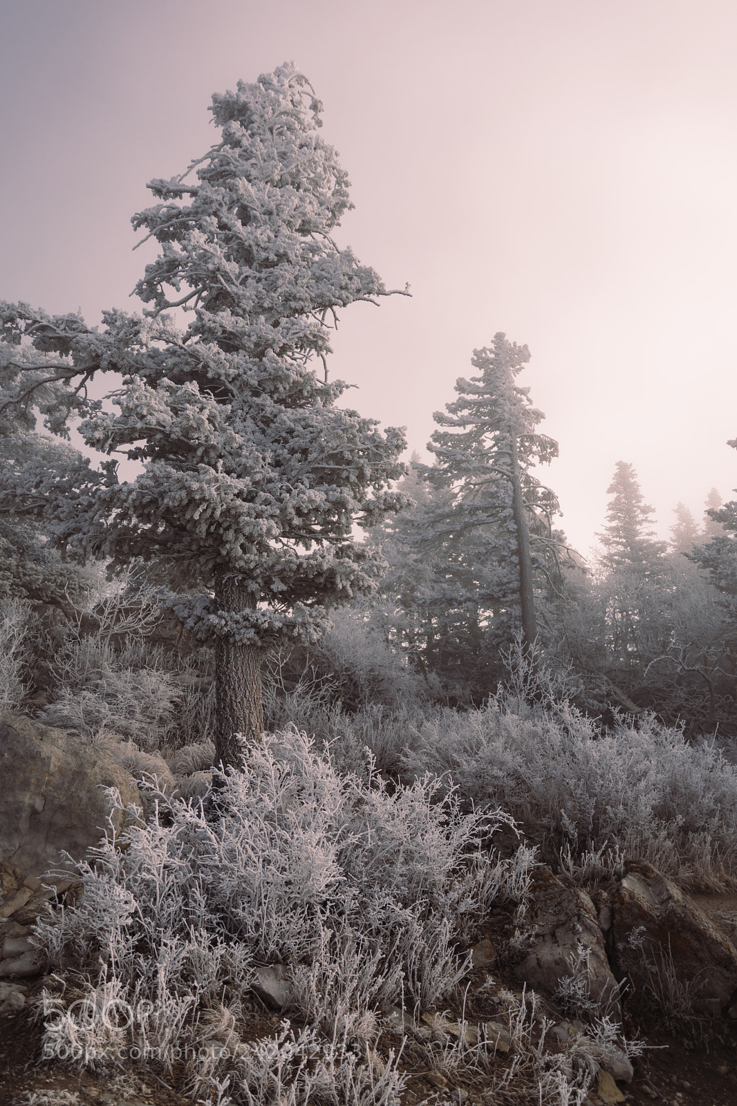 Nikon D5500 sample photo. Winter storm sunrise photography