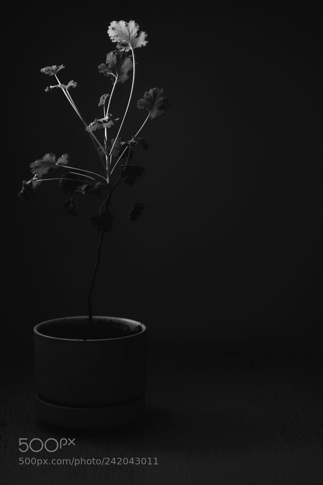 Nikon D5500 sample photo. Untitled photography