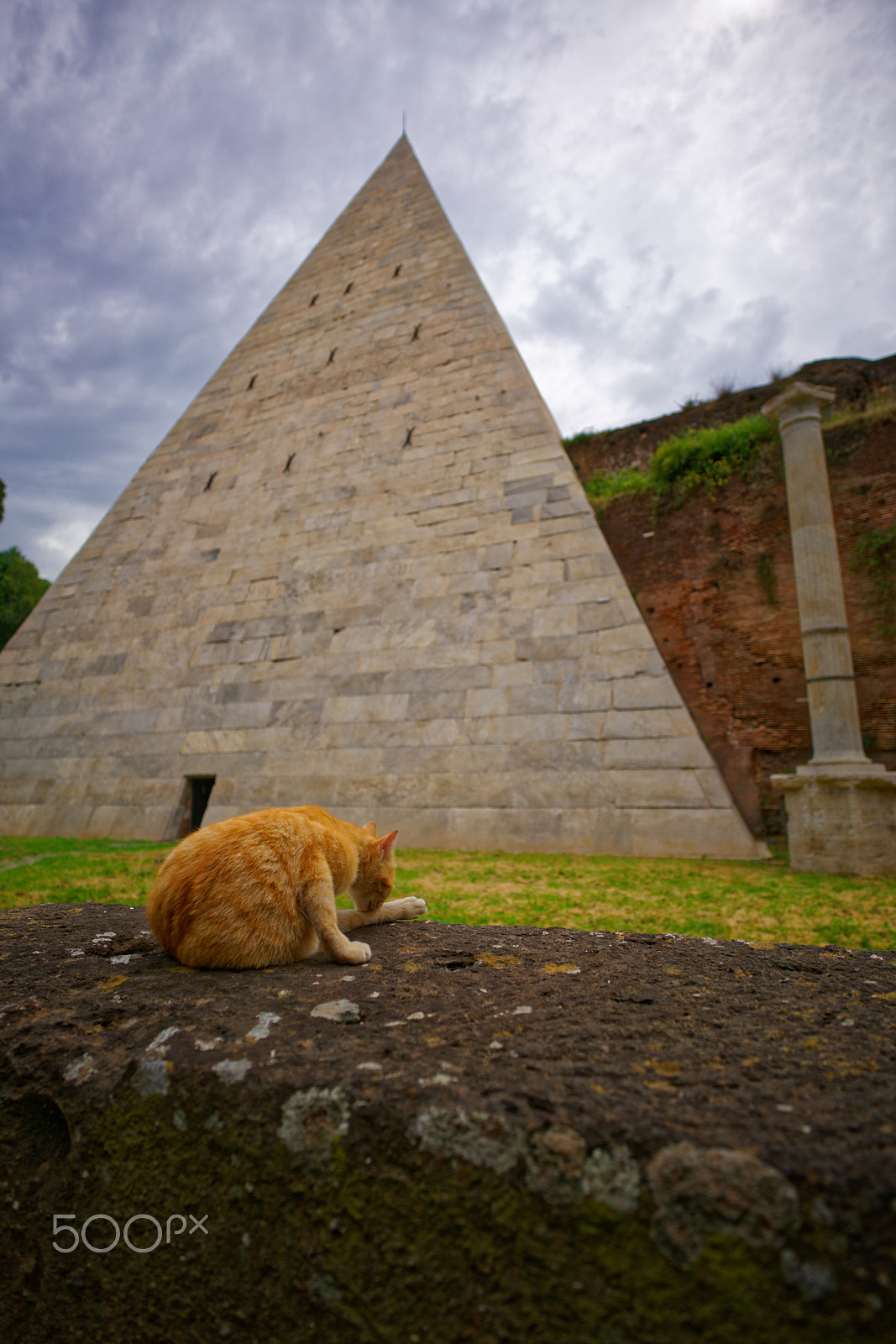 ZEISS Batis 18mm F2.8 sample photo. Cat still doing cats stuff photography
