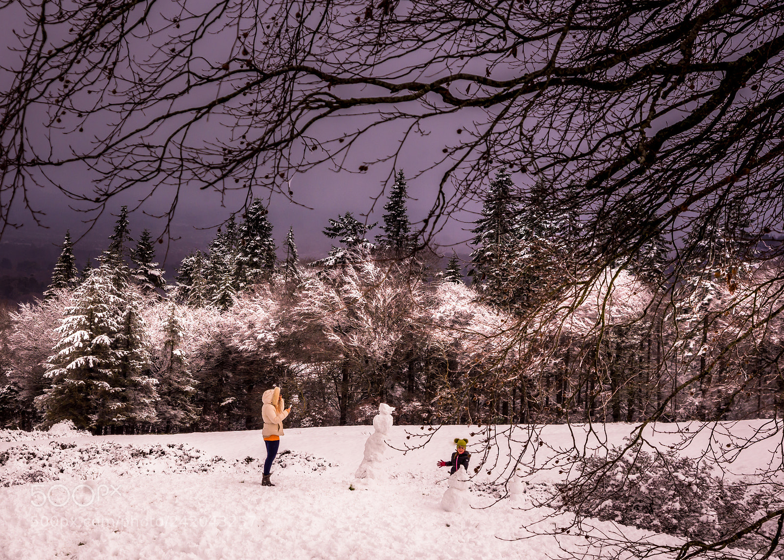 Nikon D610 sample photo. Snow time photography