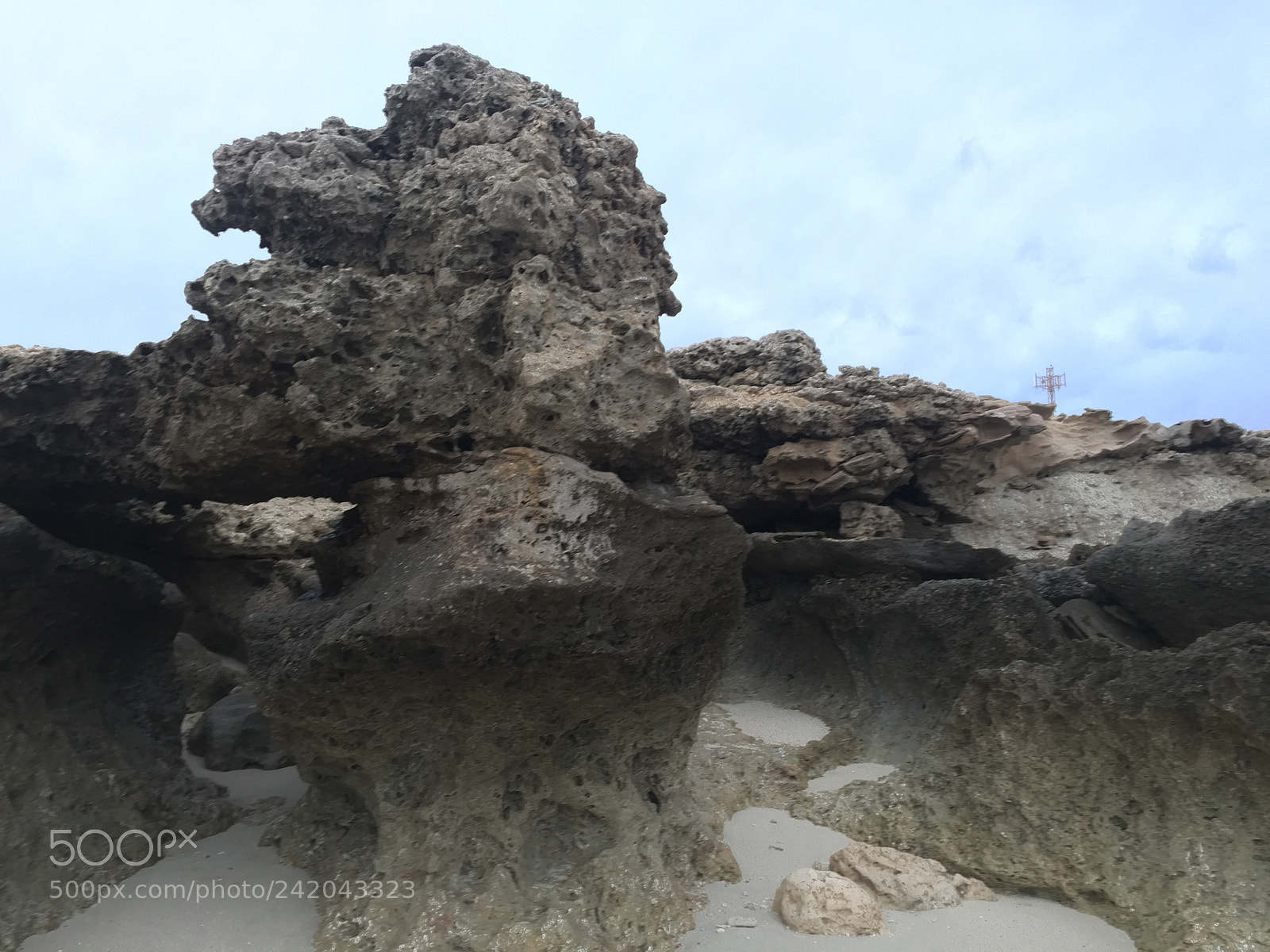 Apple iPhone 6 sample photo. Mystery photography