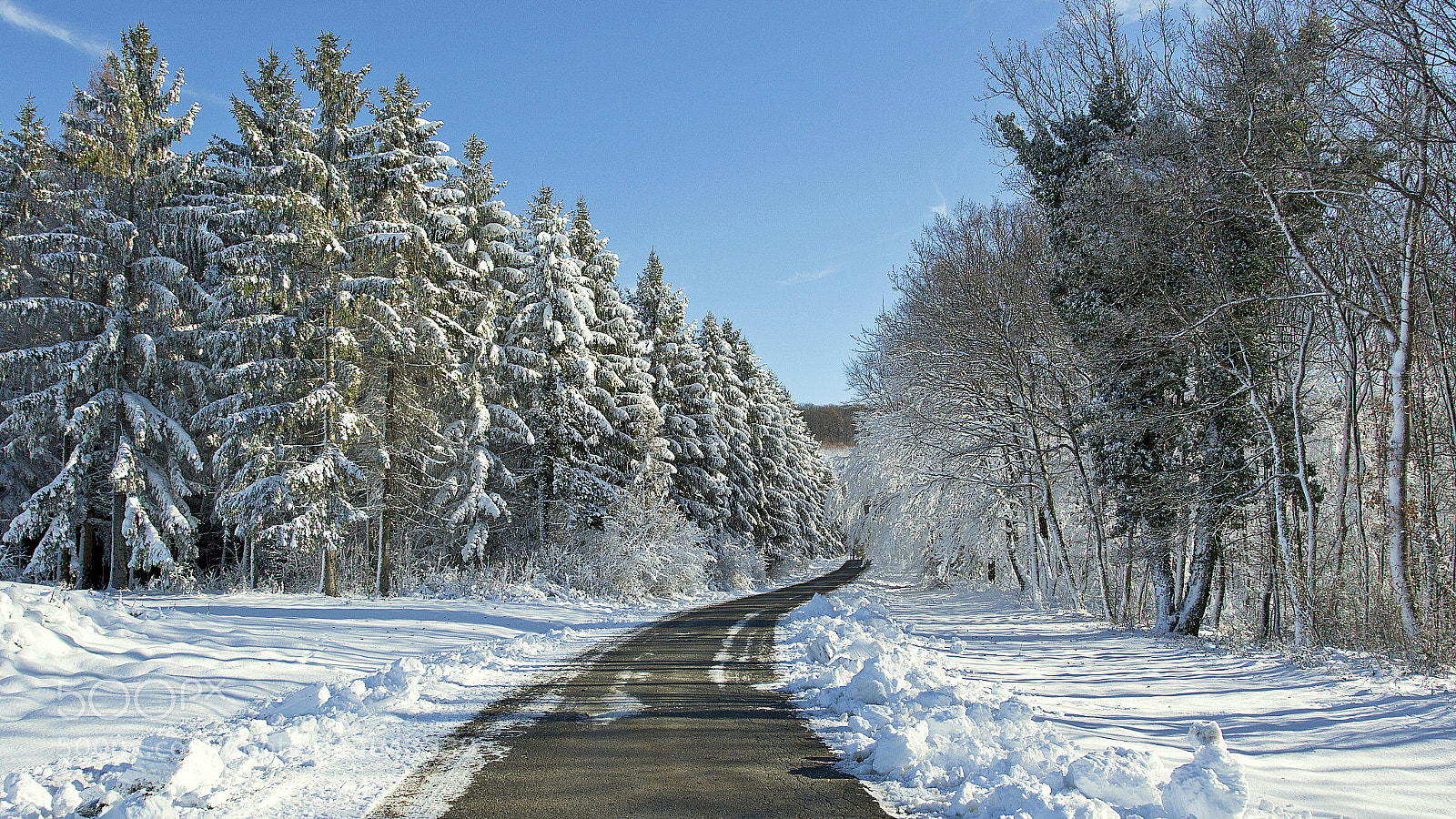 Canon EOS 7D Mark II sample photo. My path photography