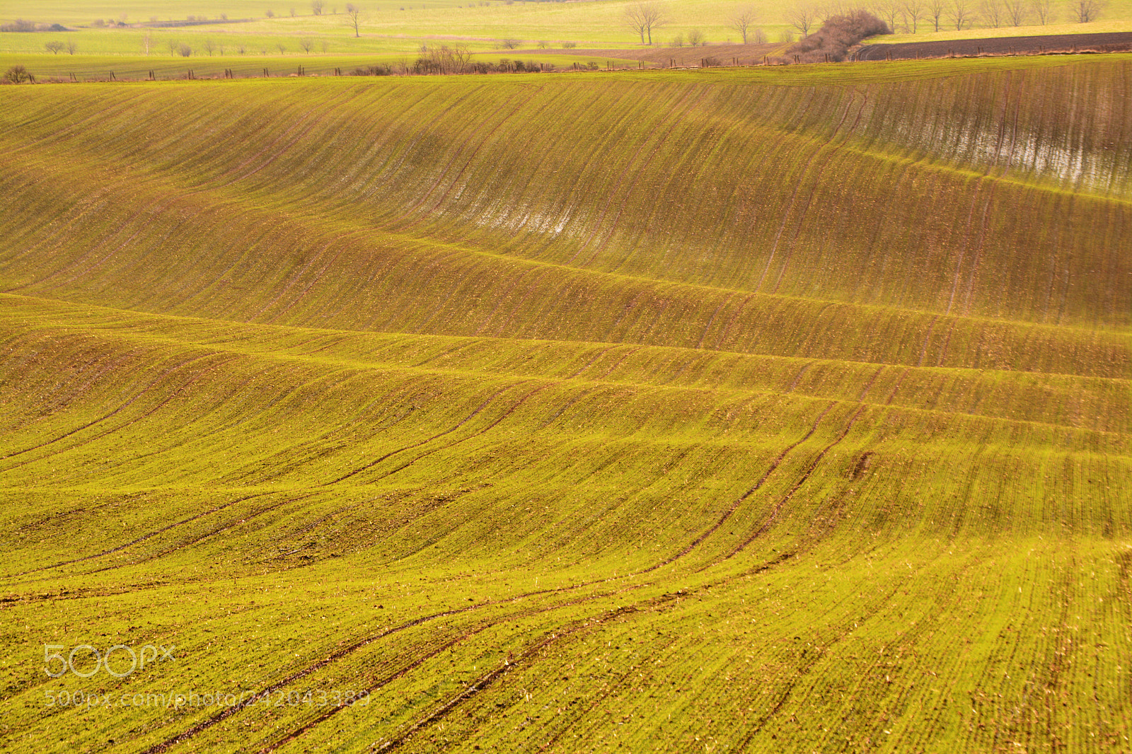 Nikon D7100 sample photo. Wavy moravia photography