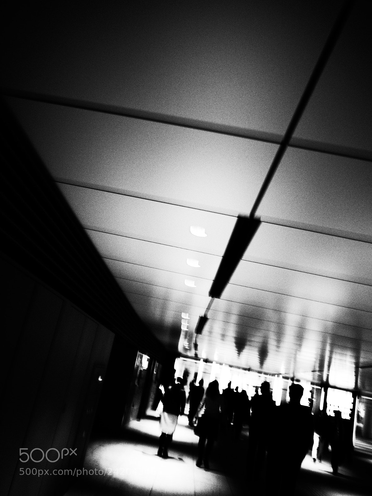 Ricoh GR II sample photo. Untitled photography
