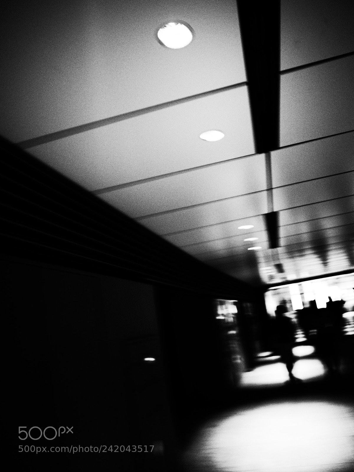 Ricoh GR II sample photo. Untitled photography