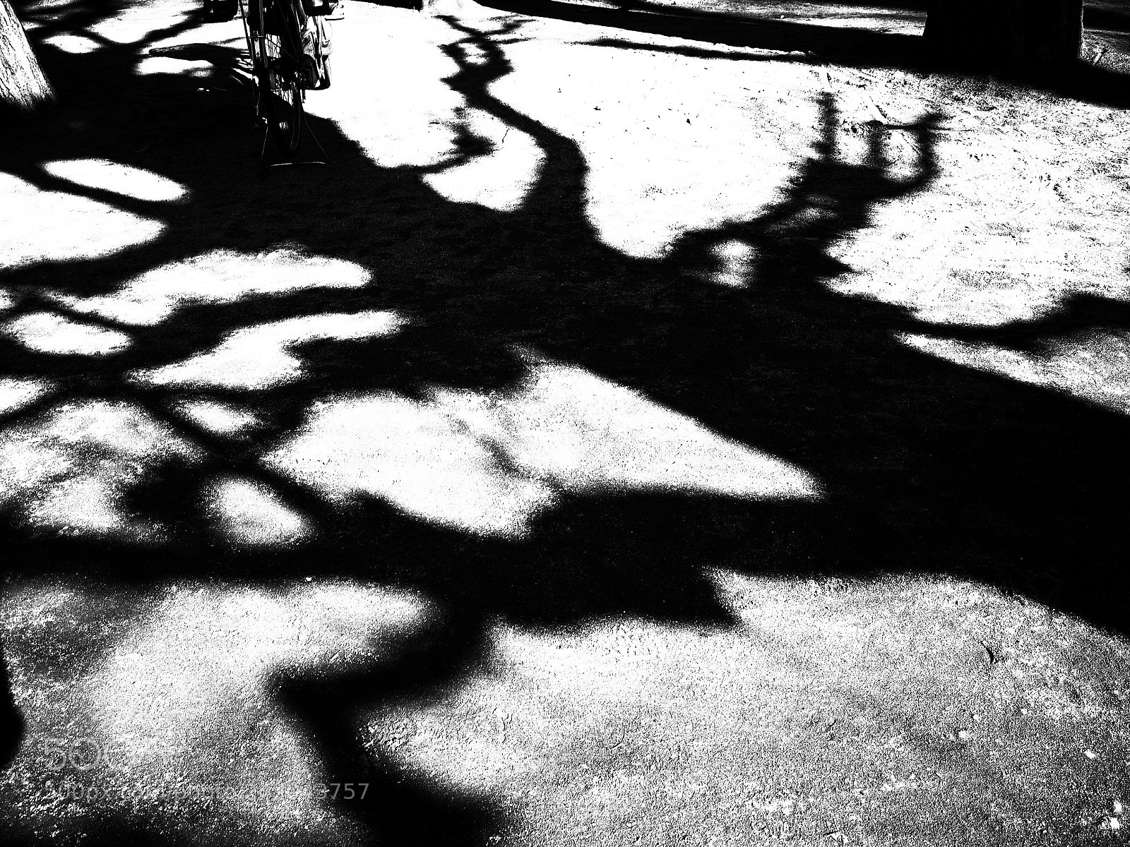 Ricoh GR II sample photo. Untitled photography