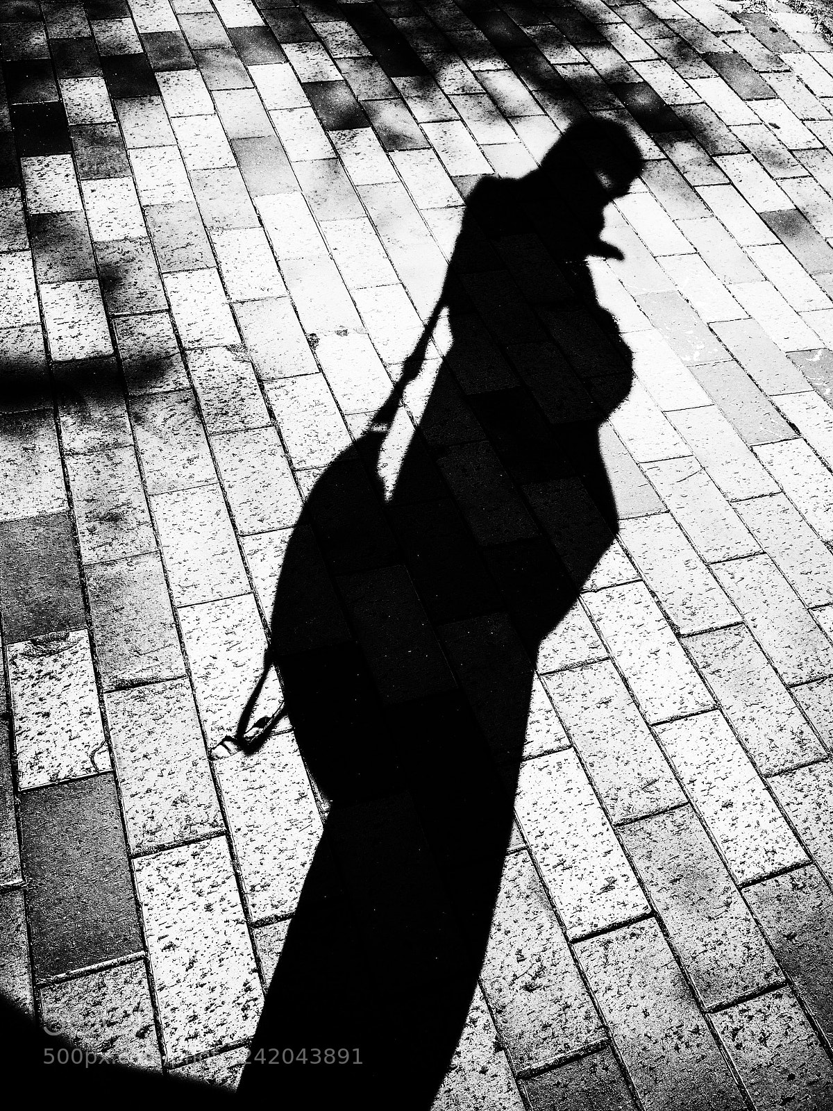 Ricoh GR II sample photo. Untitled photography