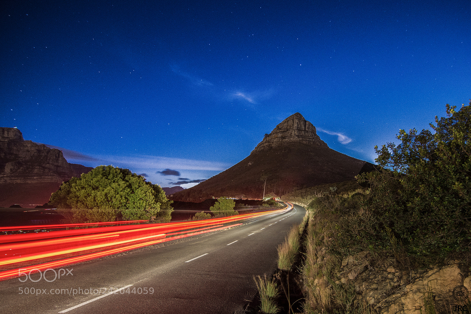 Nikon D7200 sample photo. Lion's head view. photography