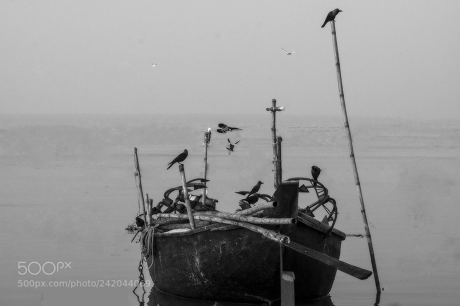 Nikon D7100 sample photo. Untitled photography