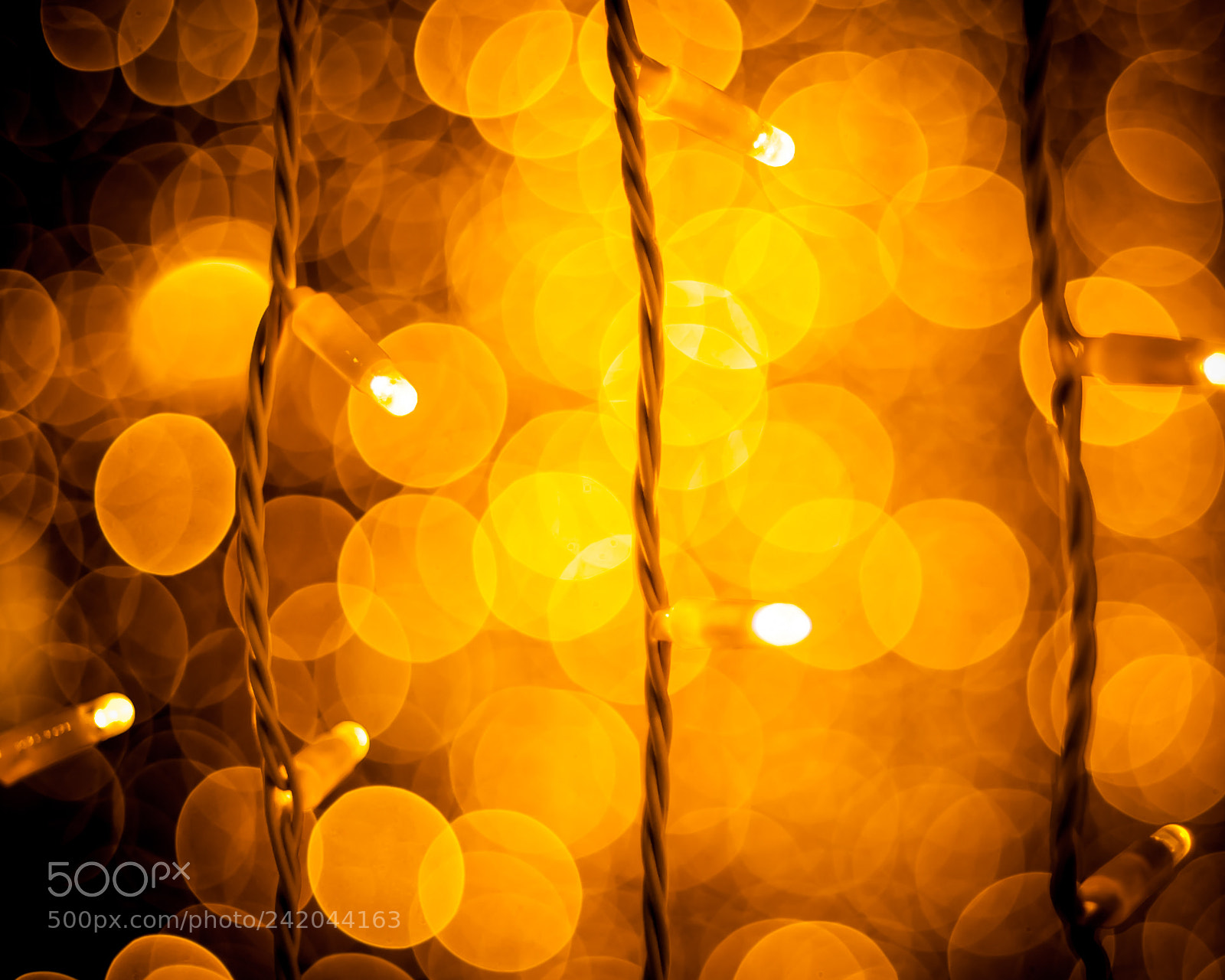 Nikon D700 sample photo. Christmas lights photography