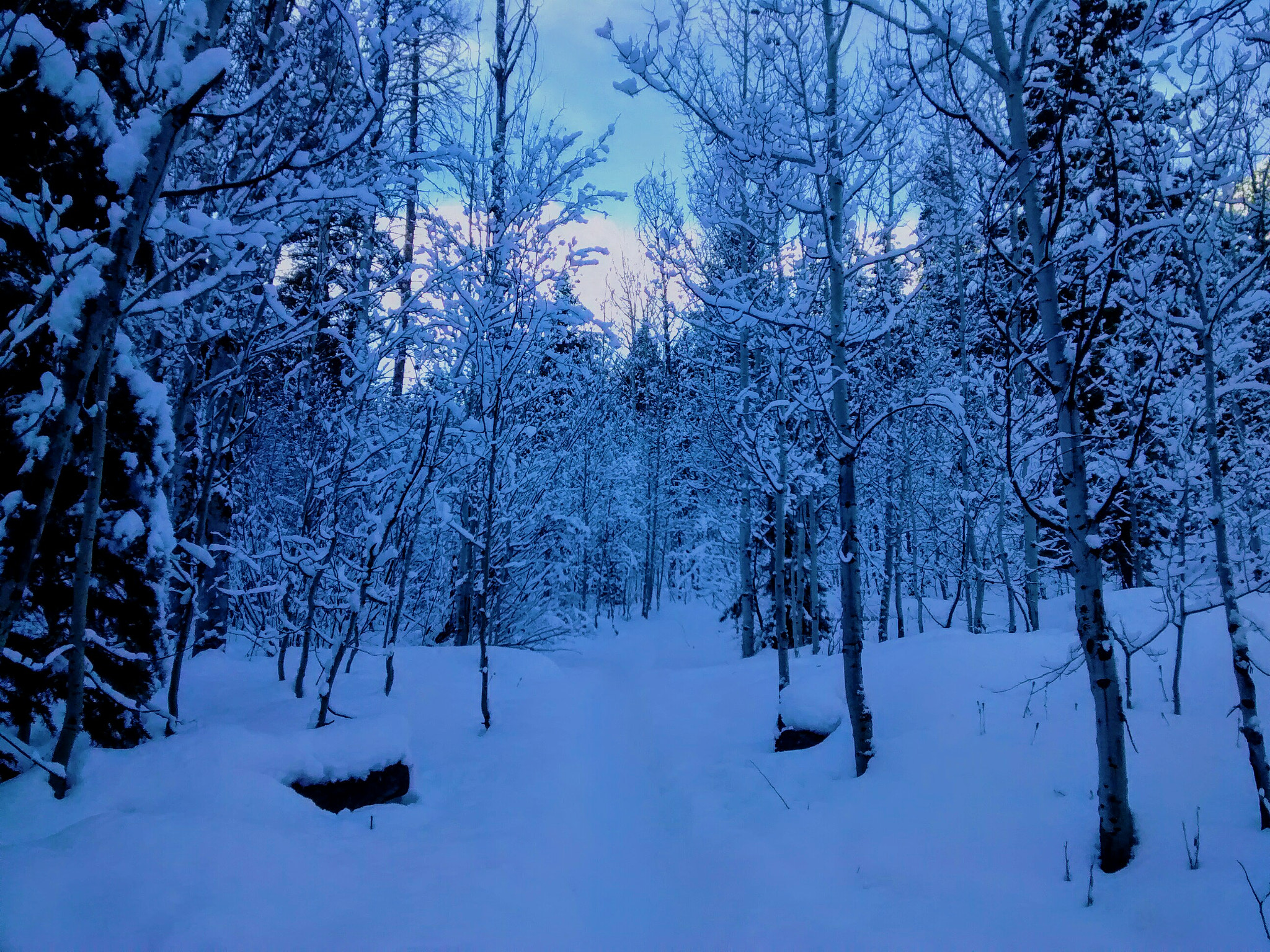 Motorola Moto G (1st Gen) sample photo. First tracks out chocolate gulch photography