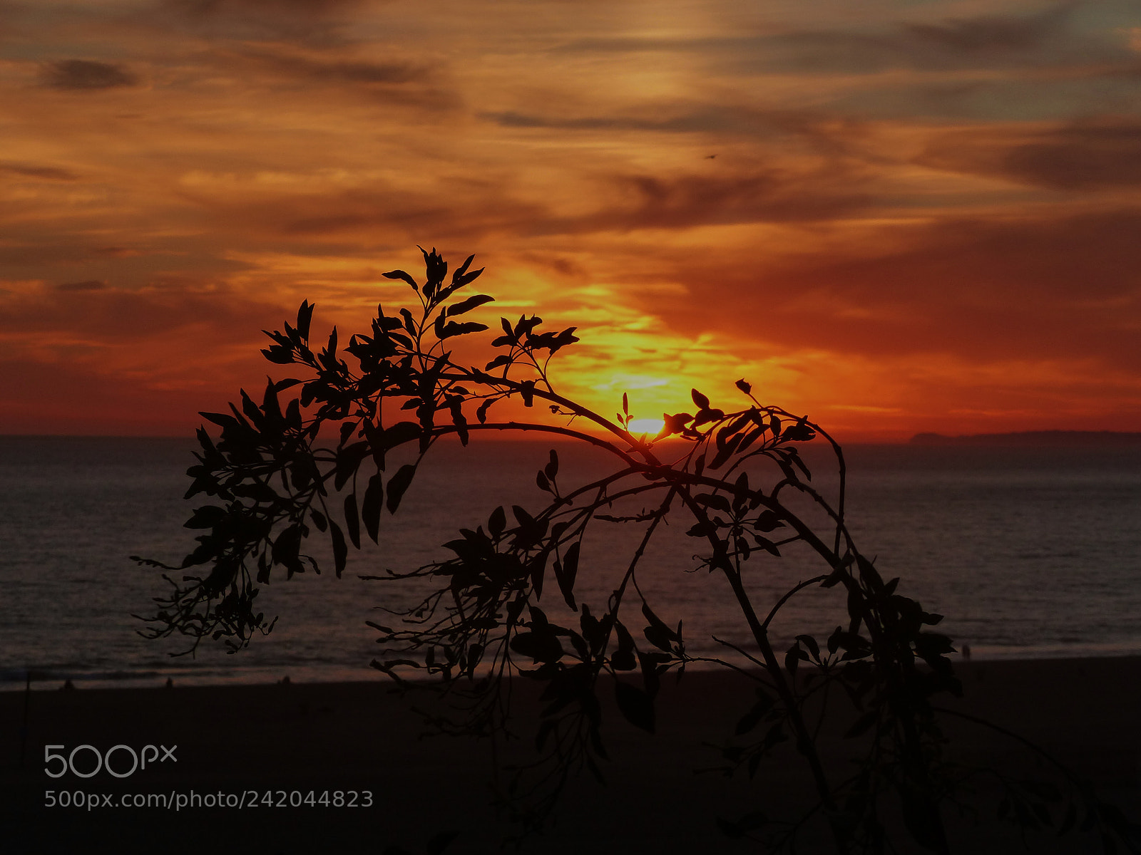 Panasonic Lumix DMC-FZ200 sample photo. Sunset photography