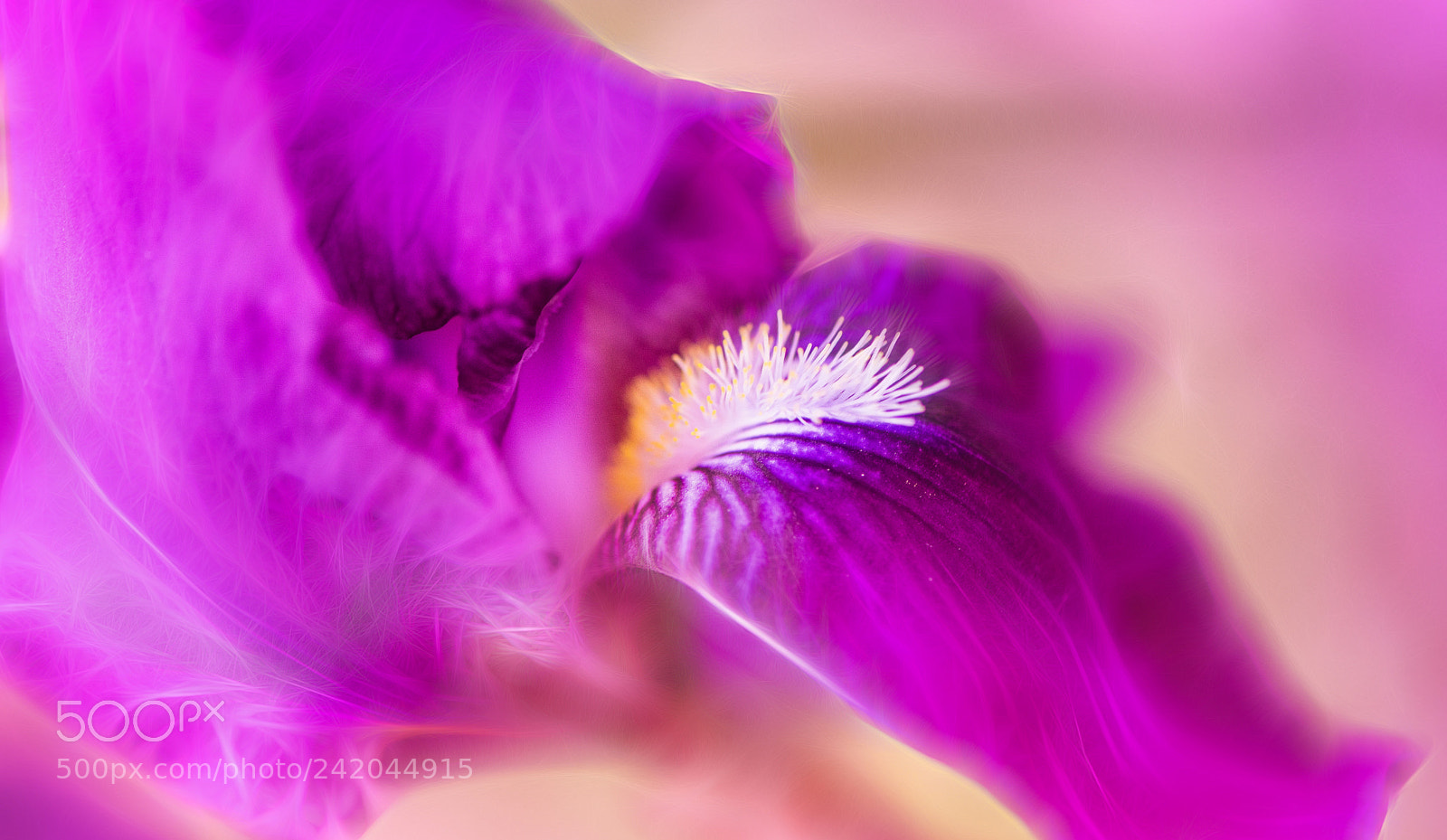 Nikon D810 sample photo. Sensual ... photography