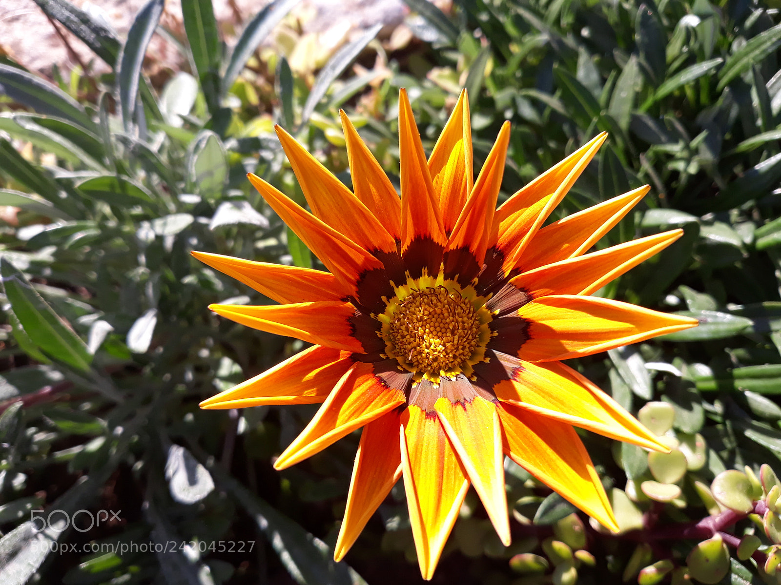 Samsung Galaxy J7 sample photo. Untitled photography