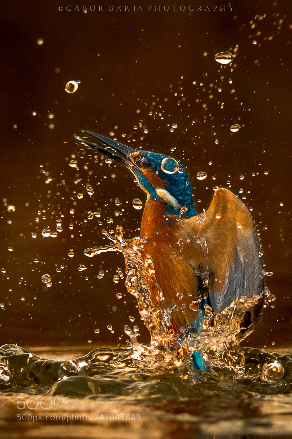 Nikon D500 sample photo. Outburst photography