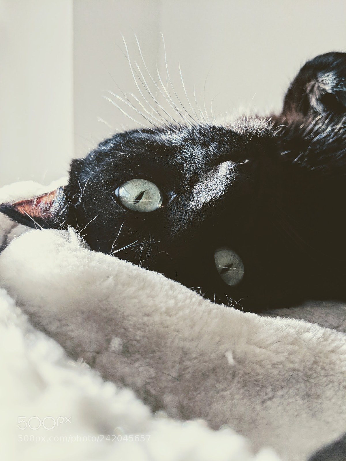 Google Pixel 2 sample photo. Untitled photography