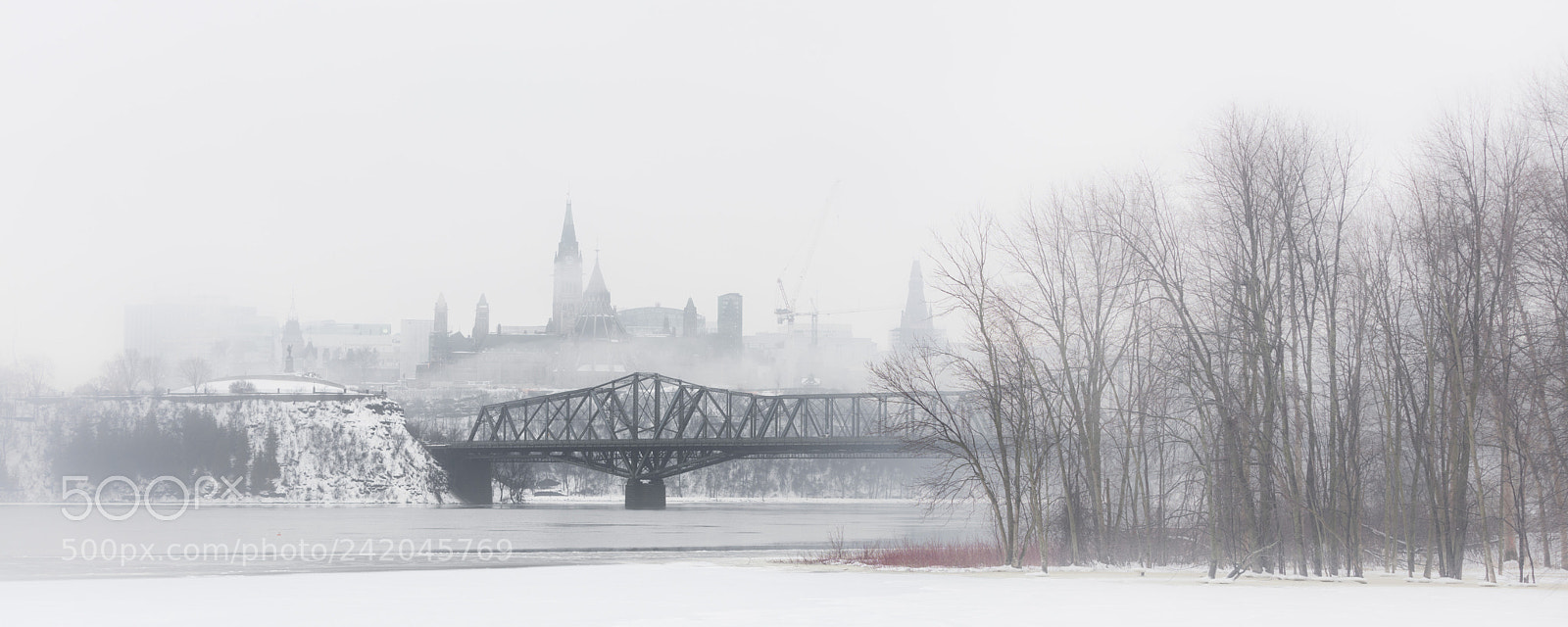 Canon EOS 5DS R sample photo. Foggy crossing photography