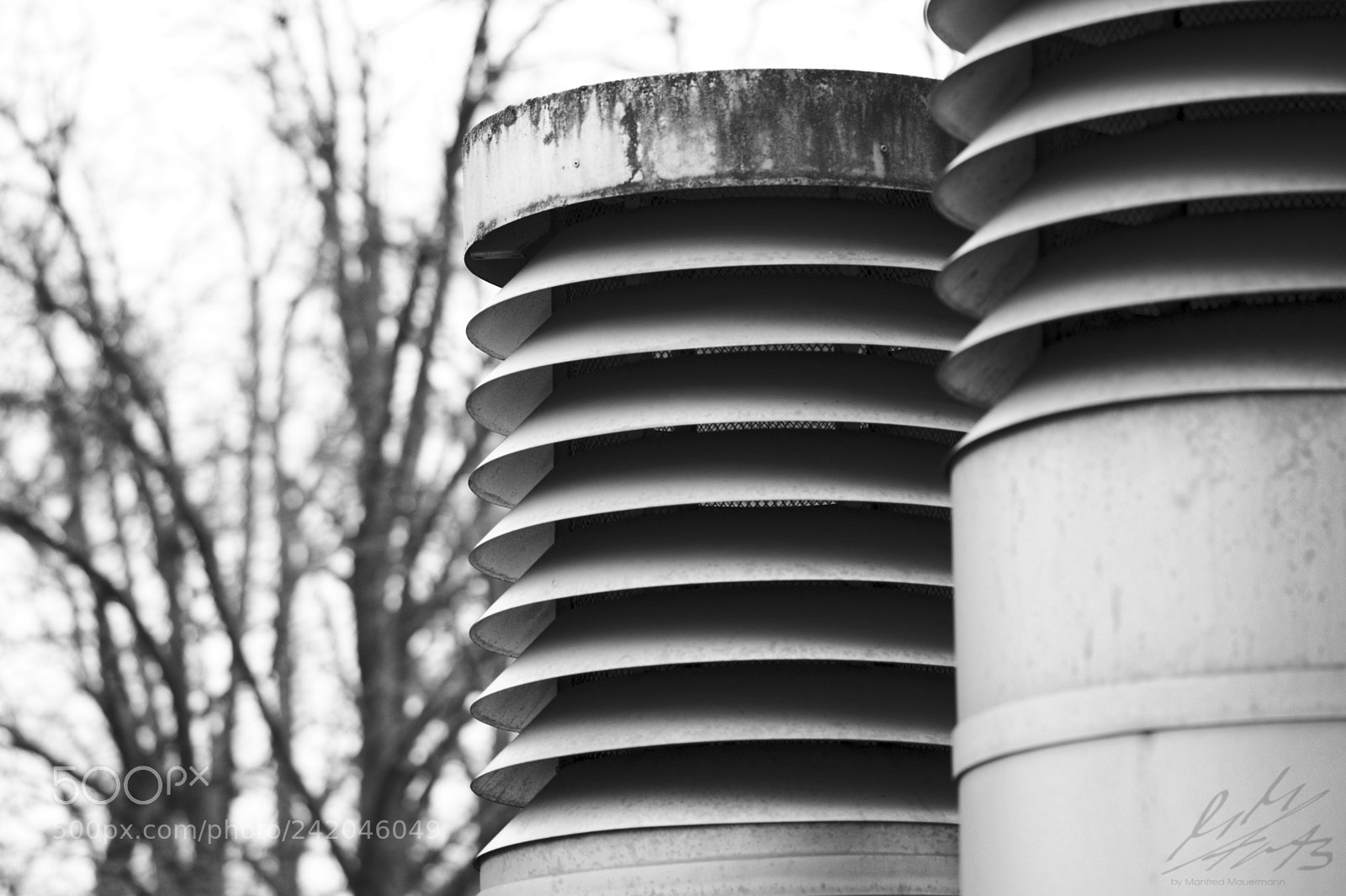 Nikon D90 sample photo. Whispering photography