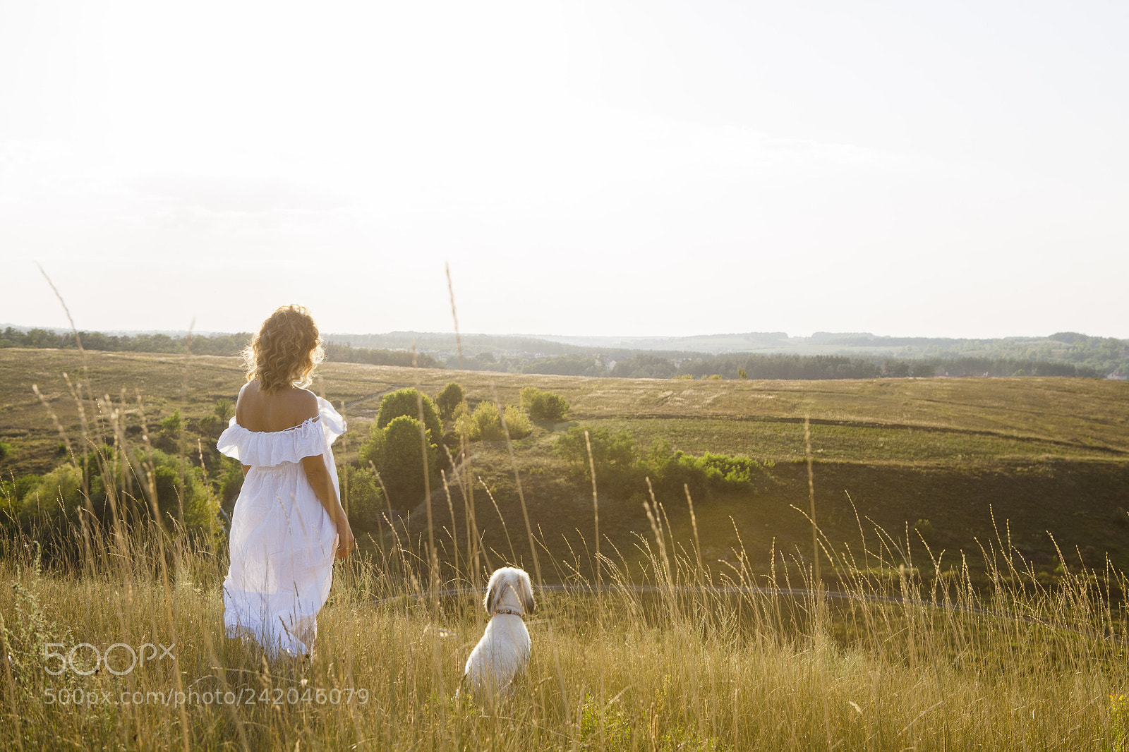 Canon EOS 5D sample photo. Img photography