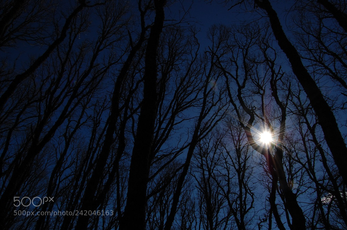 Nikon D40 sample photo. Mystic photography