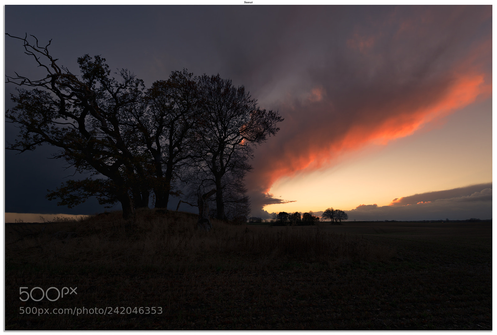 Nikon D800 sample photo. Sunset photography