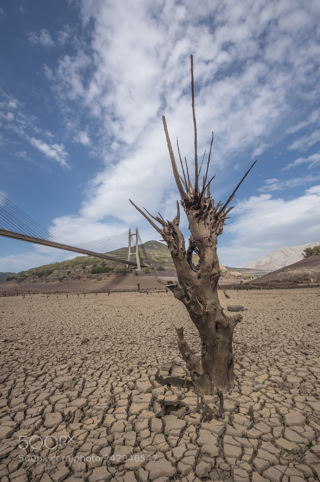 Pentax K-3 II sample photo. Lonely tree ii photography