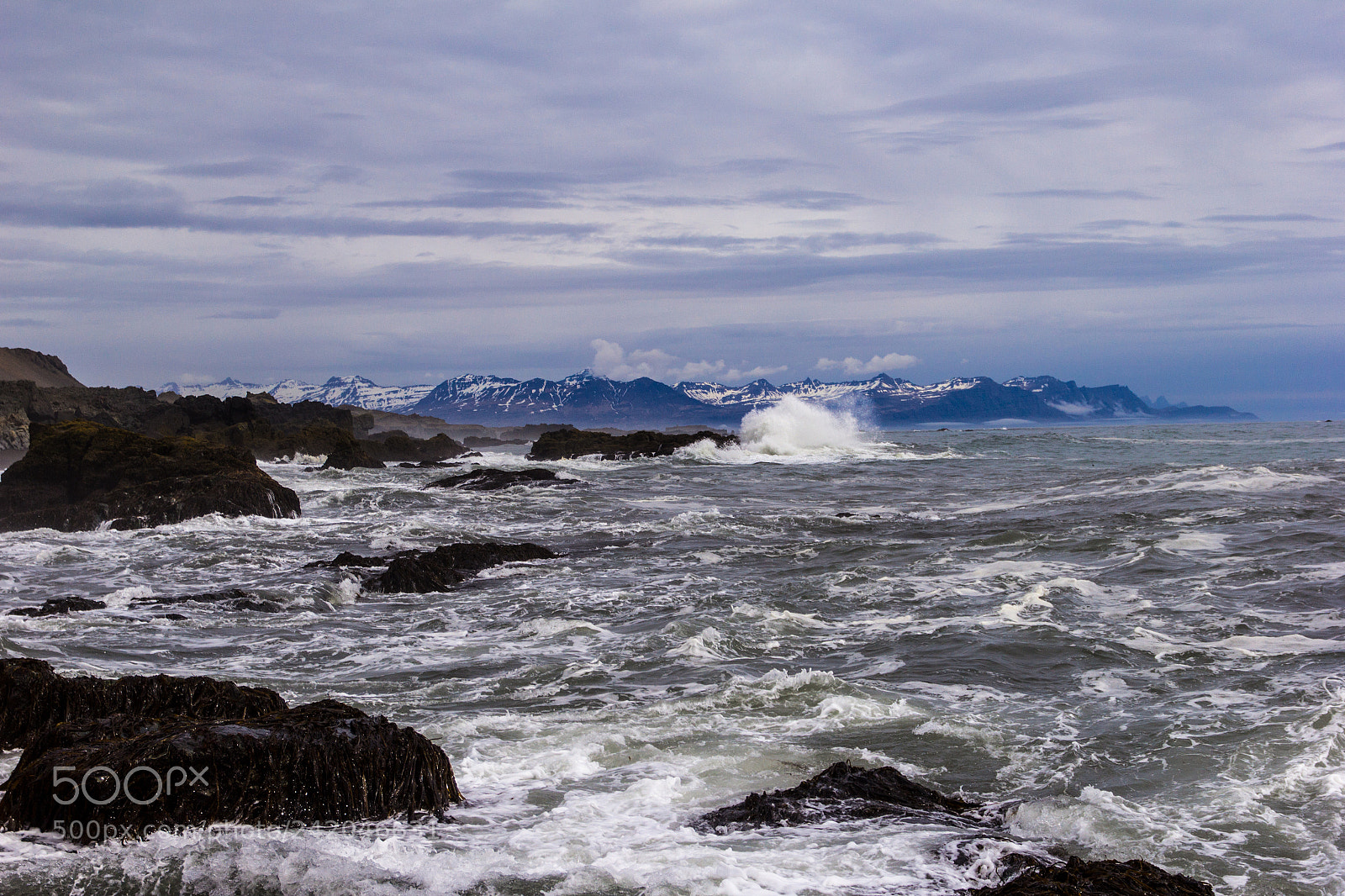 Canon EOS 60D sample photo. Djúpavogshreppur, iceland photography