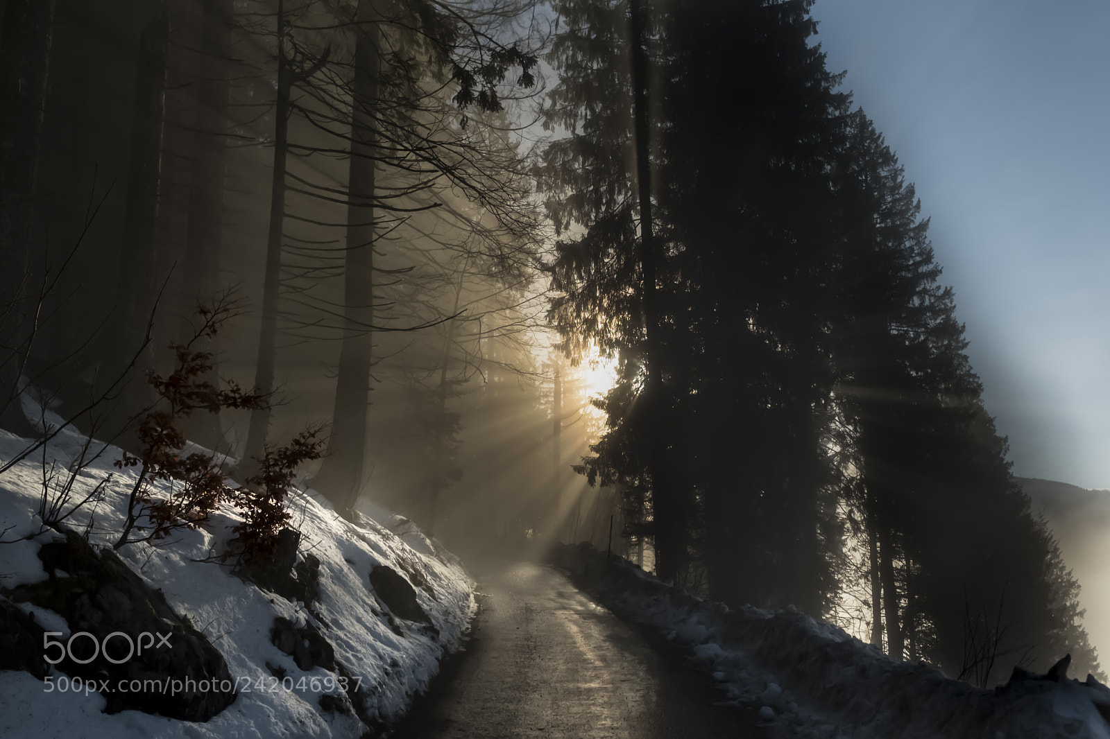 Fujifilm X-T20 sample photo. Sun coming through the photography