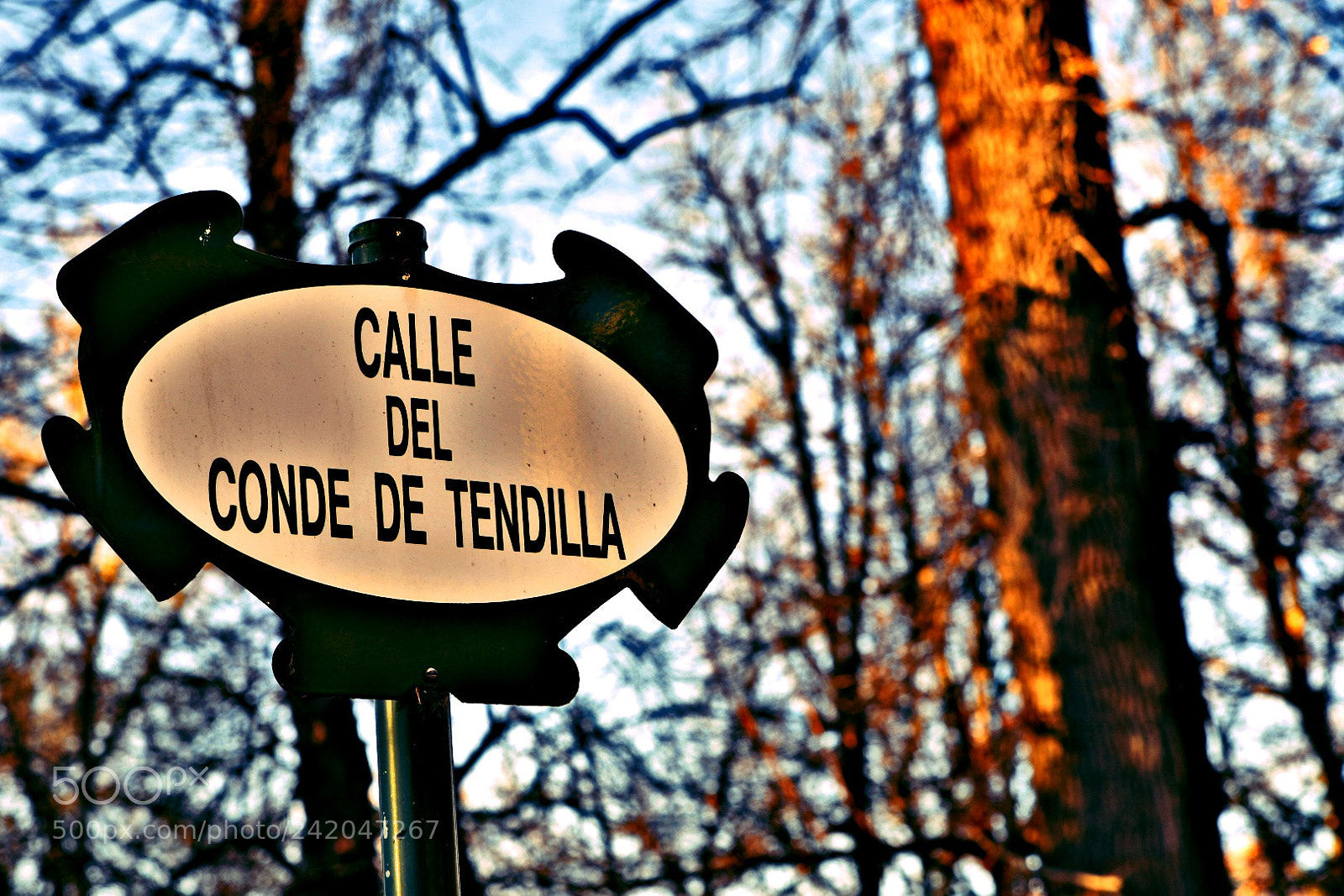 Nikon D500 sample photo. Untitled photography