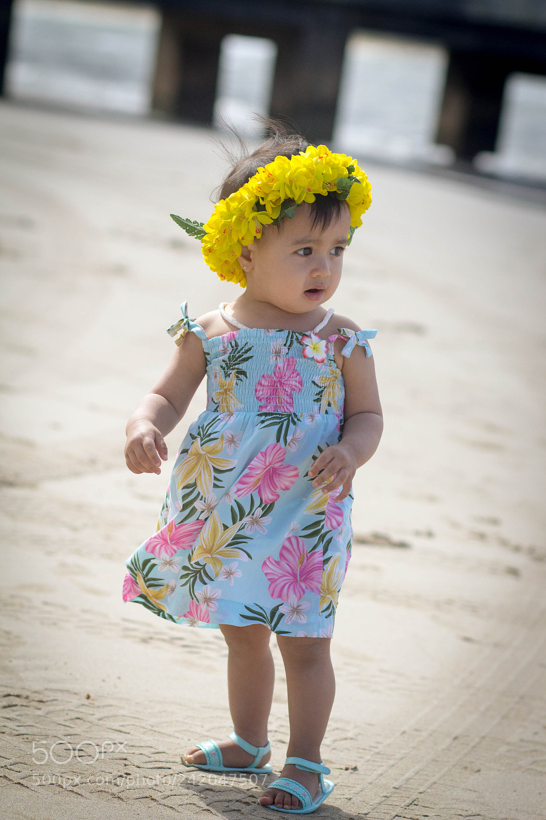 Canon EOS 60D sample photo. At the beach photography