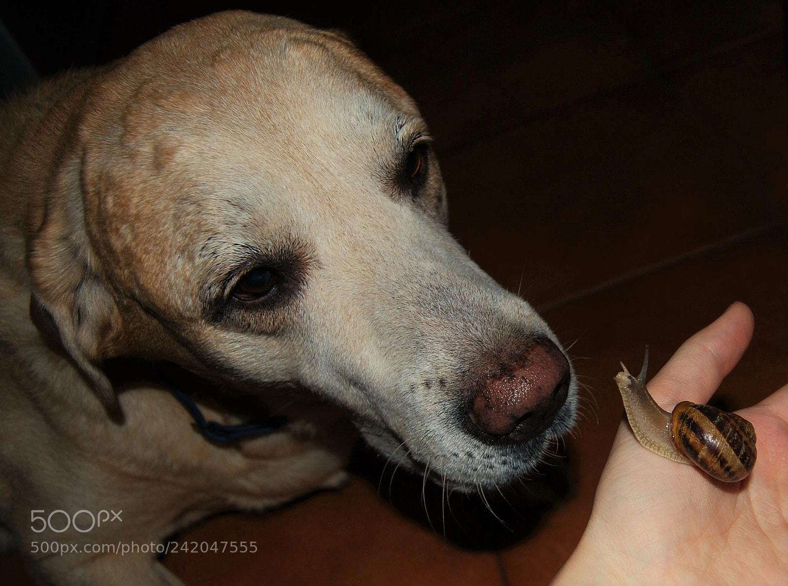 Nikon D60 sample photo. Non verbal communication photography