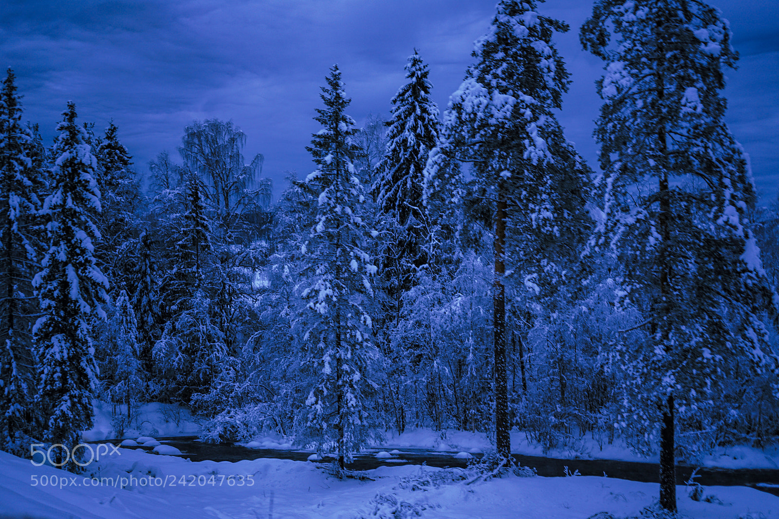 Sony a7 II sample photo. Blue wednesday in norway photography