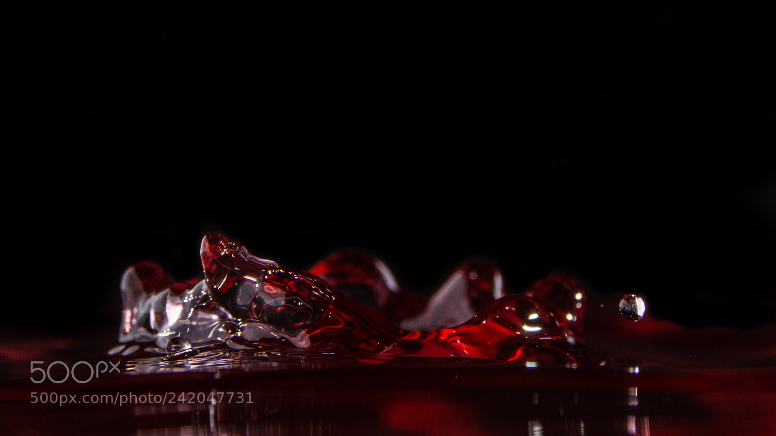 Nikon D7100 sample photo. Untitled photography