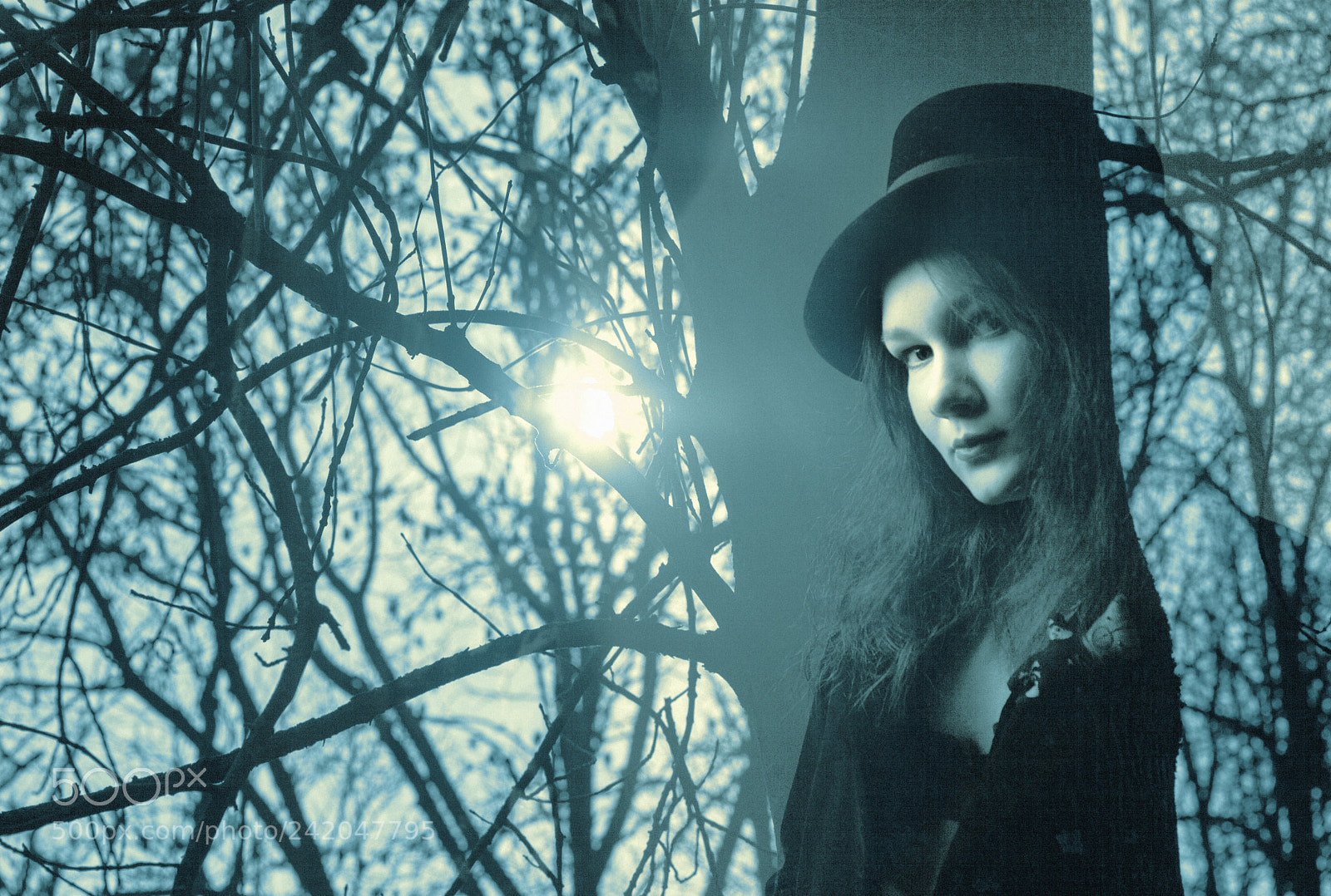 Nikon D40X sample photo. Light between branches photography