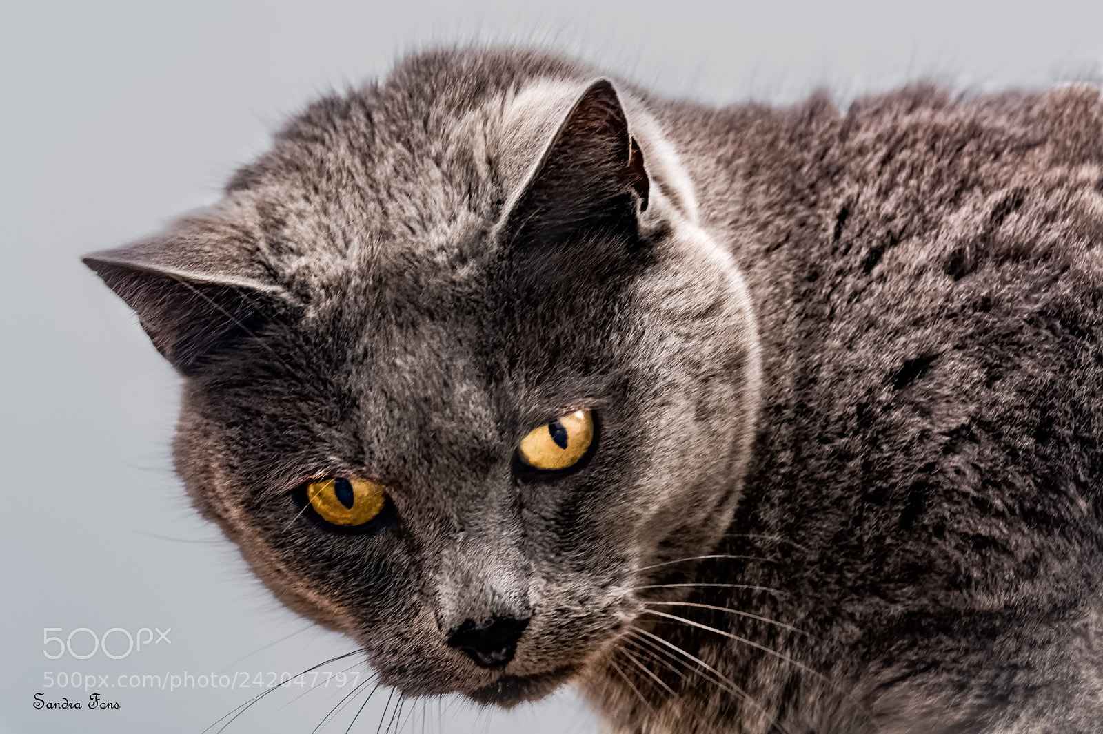 Nikon D7100 sample photo. Una mirada... photography