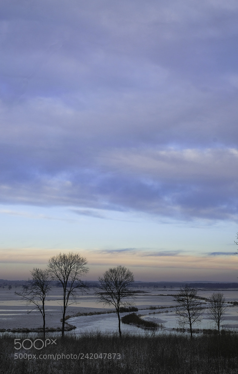 Fujifilm X-T20 sample photo. Sky photography