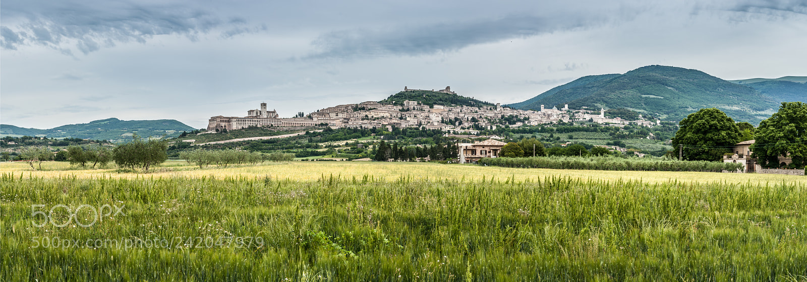 Nikon D700 sample photo. Assisi photography
