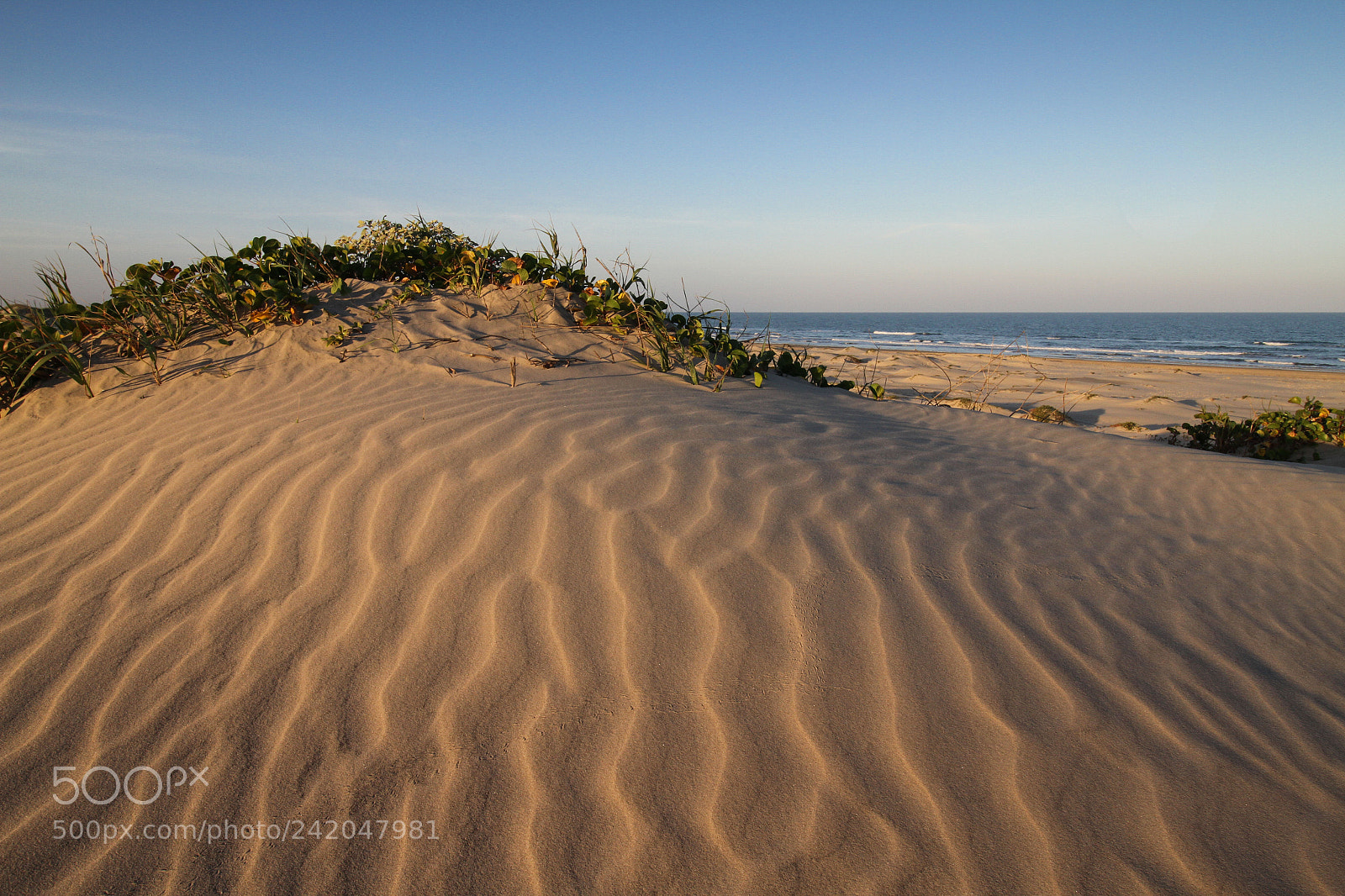 Canon EOS 7D sample photo. Sand dunes photography