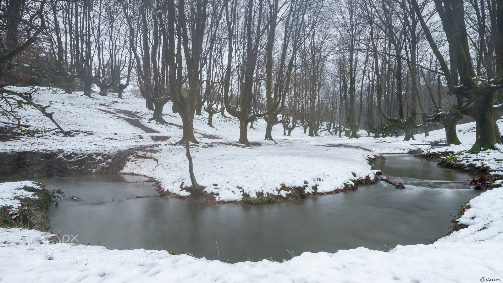 Nikon D800 sample photo. Mystic river (ii) photography