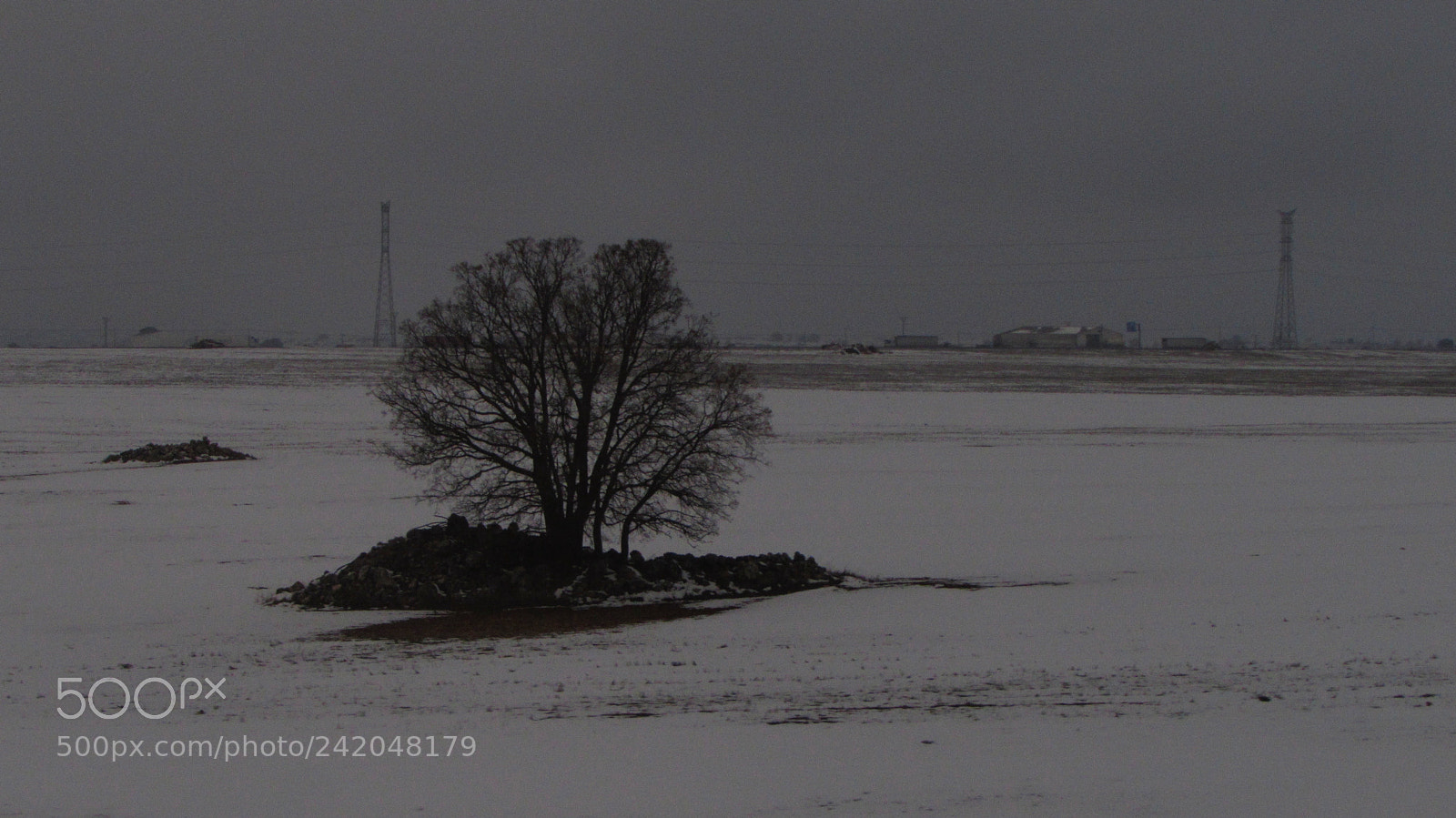 Canon PowerShot SX510 HS sample photo. Snow photography