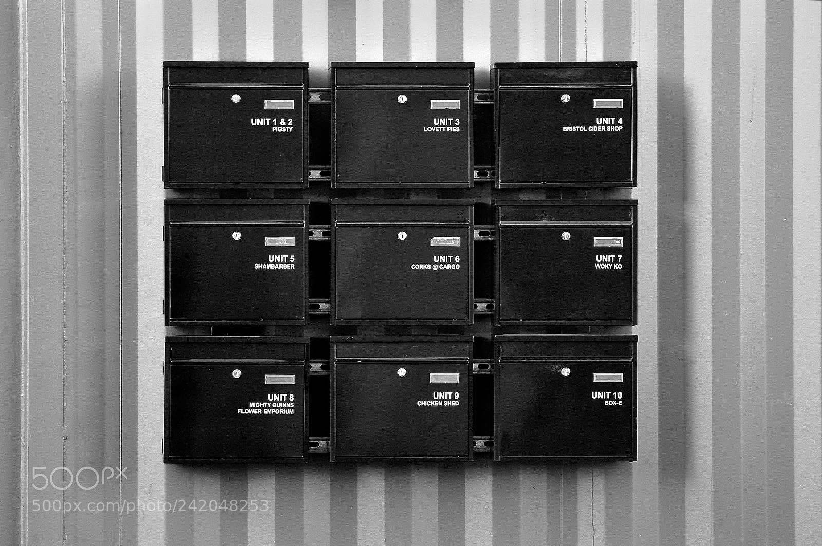 Nikon D3200 sample photo. Black on stripes photography