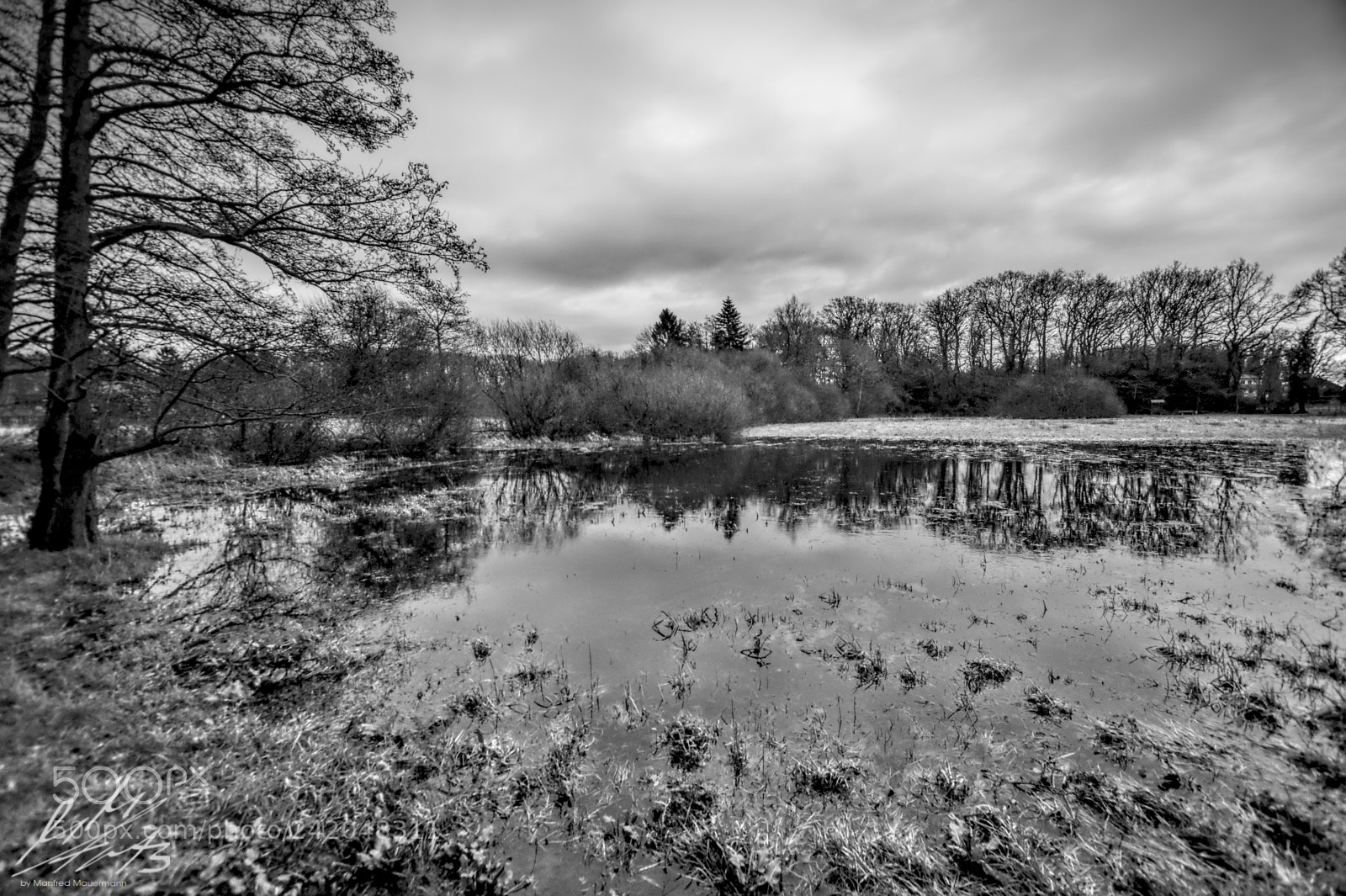 Nikon D90 sample photo. Flooded meadow photography
