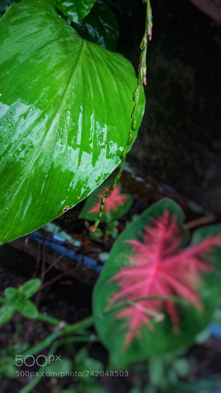 Samsung Galaxy J5 sample photo. Untitled photography