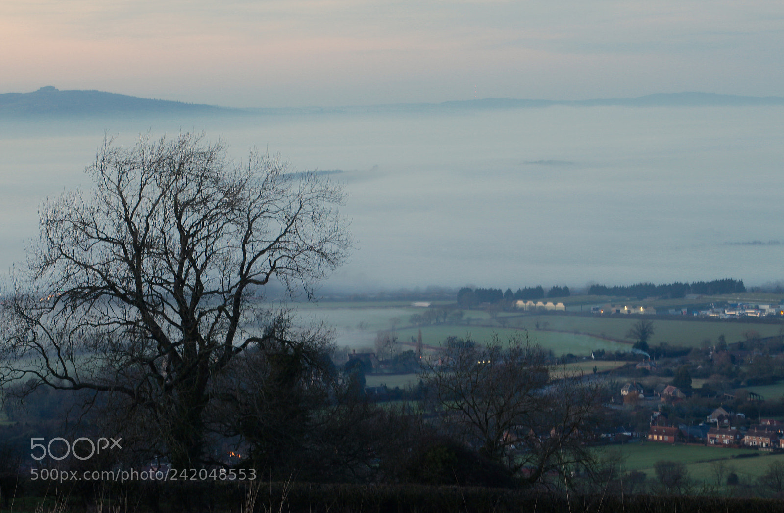Canon EOS 1300D (EOS Rebel T6 / EOS Kiss X80) sample photo. ~covered by fog~ photography