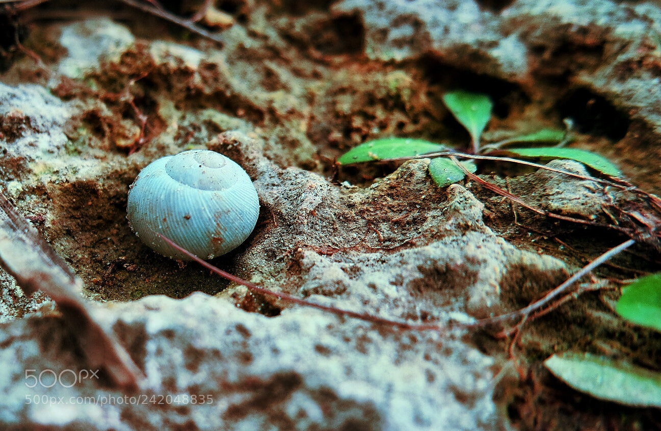 Samsung NX3000 sample photo. For the dancing and photography