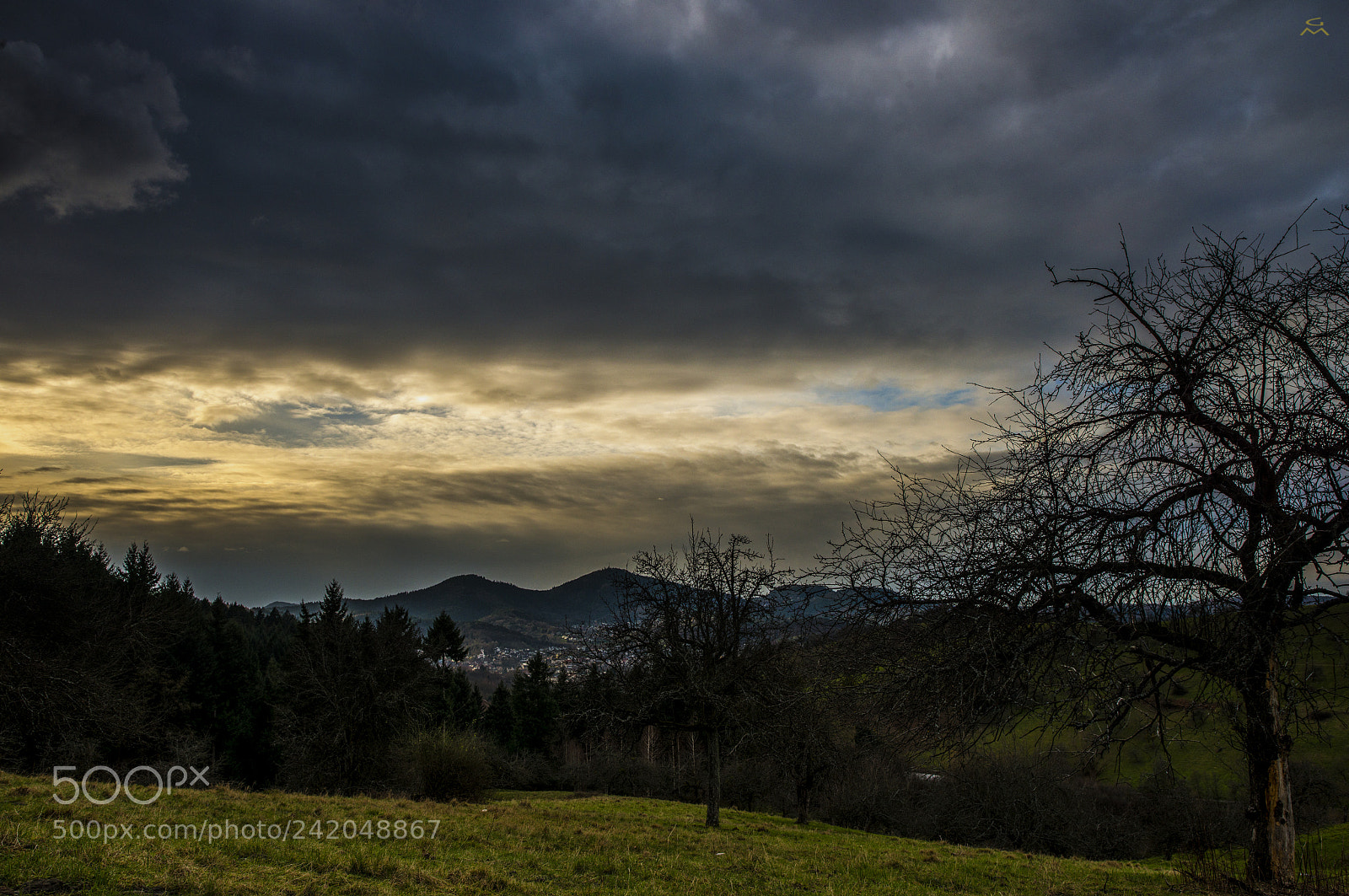 Nikon D800 sample photo. Black forest - 1 photography