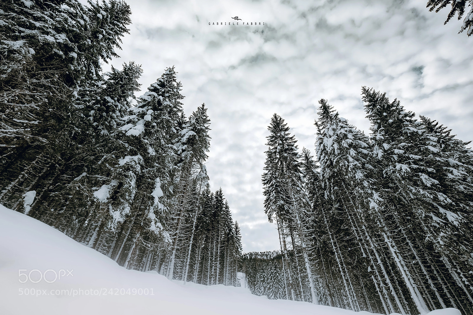 Fujifilm X-T2 sample photo. Nature supremacy photography
