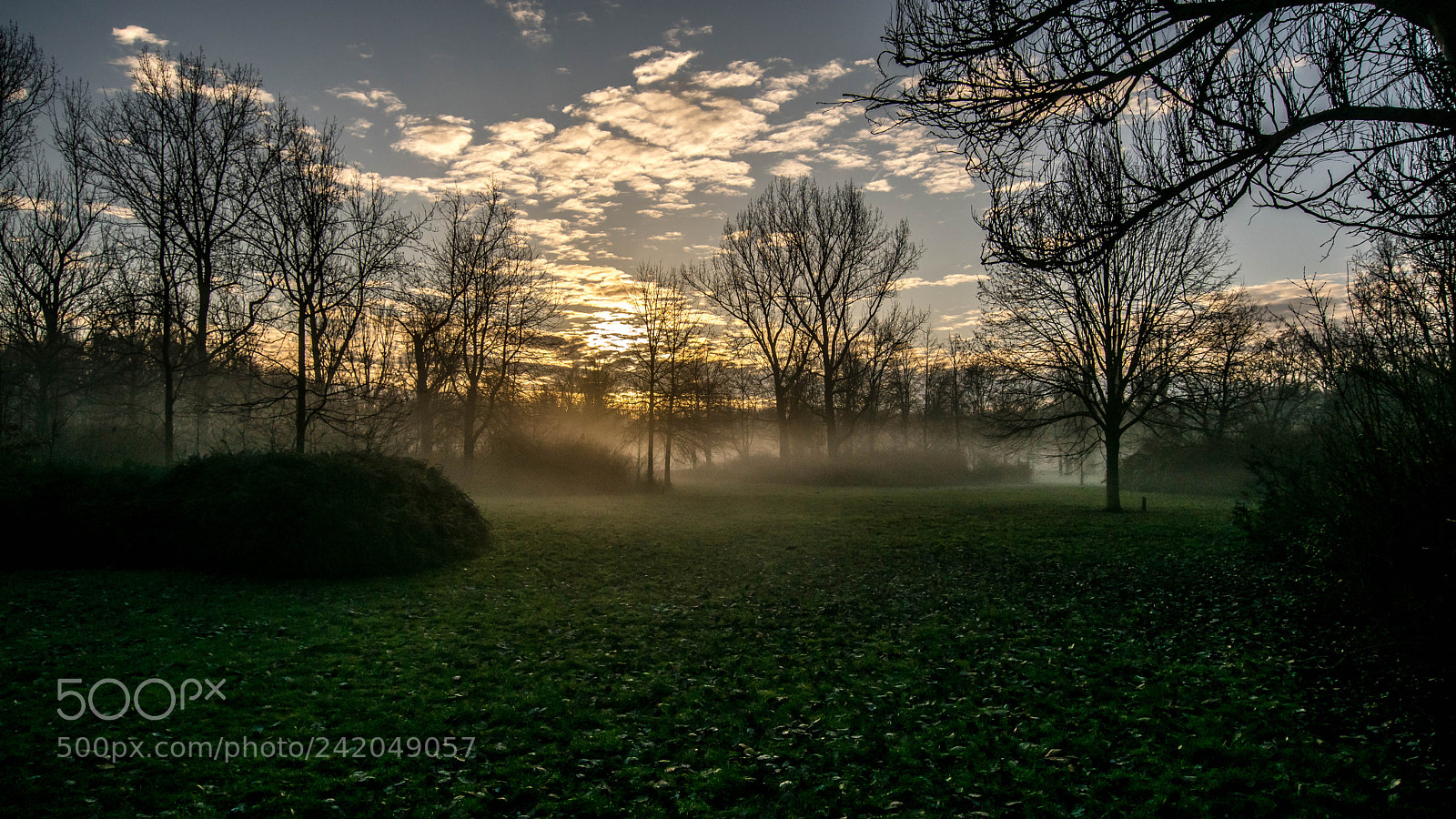 Sony ILCA-77M2 sample photo. Morning photography